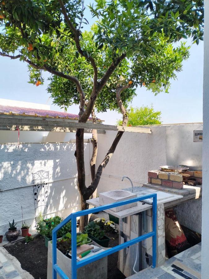 Apartamento Casa Da Laranjeira Montargil Exterior foto